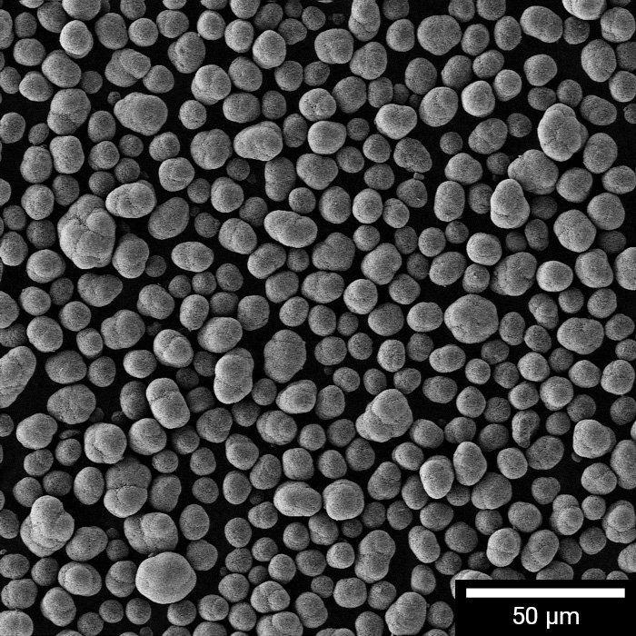 NMC粒子形状とサイズのSEM研究