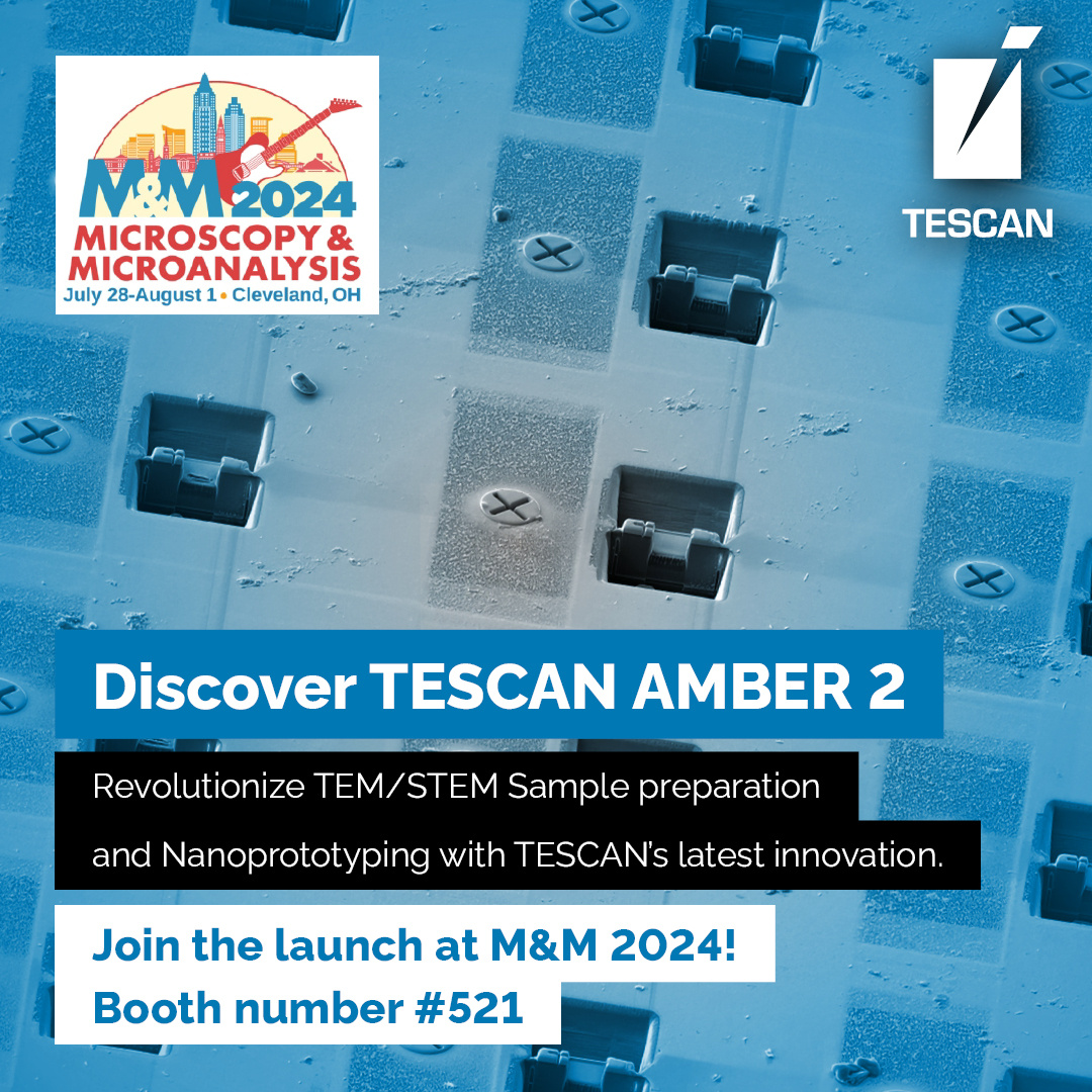 TESCAN at M&M 2024：AMBER 2の発表に参加しませんか？